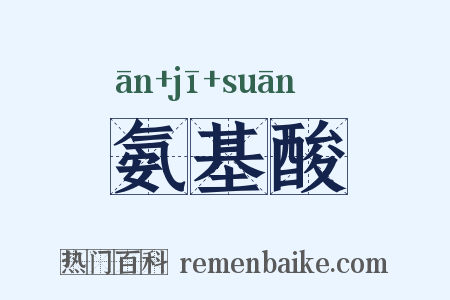 氨基酸是什么意思的图片